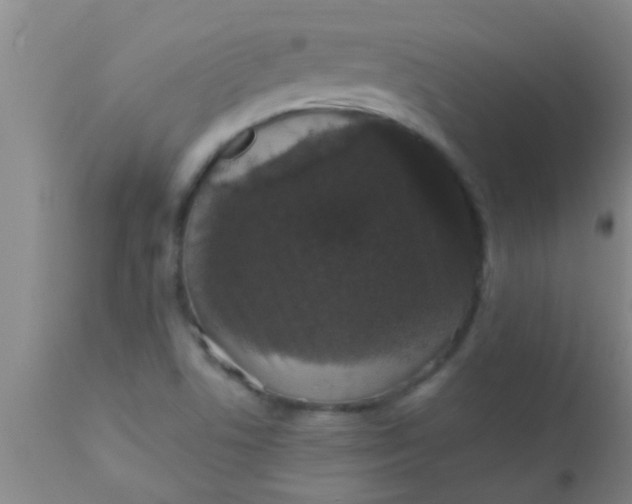 X0000110941506200907022121