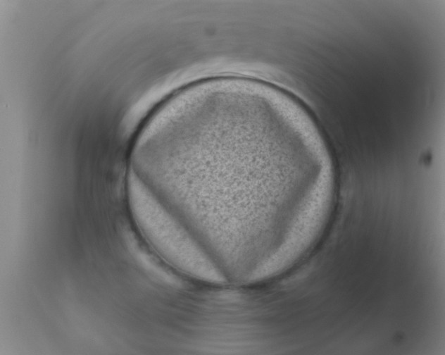 X0000110941507200907022121