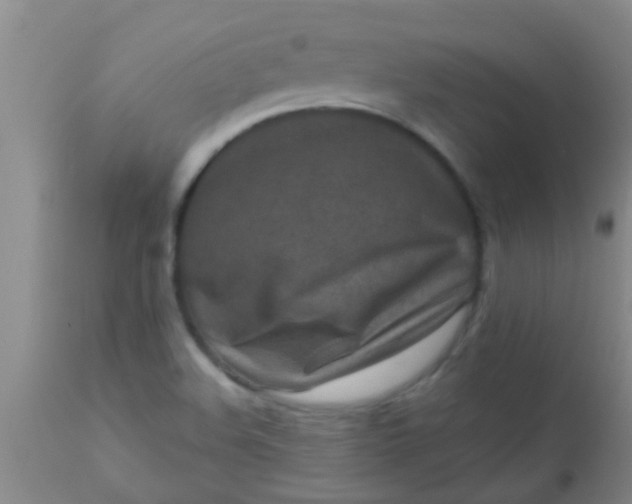 X0000110941508200907022121