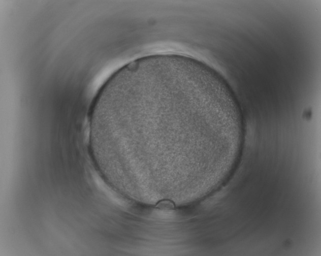 X0000110941509200907022121