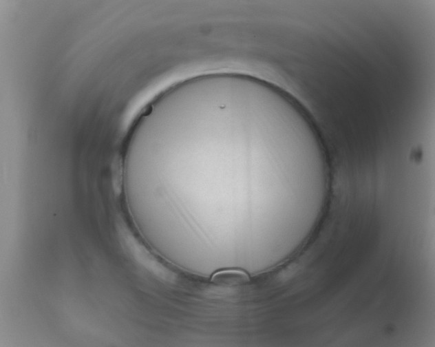 X0000110941510200907022122