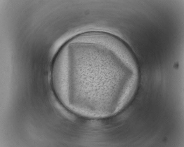 X0000110941511200907022122