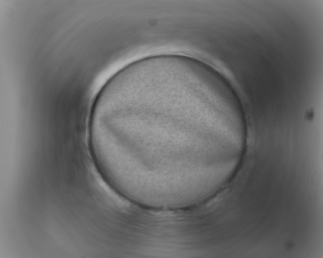 X0000110941512200907022122