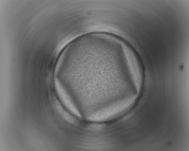 X0000110941513200907022122