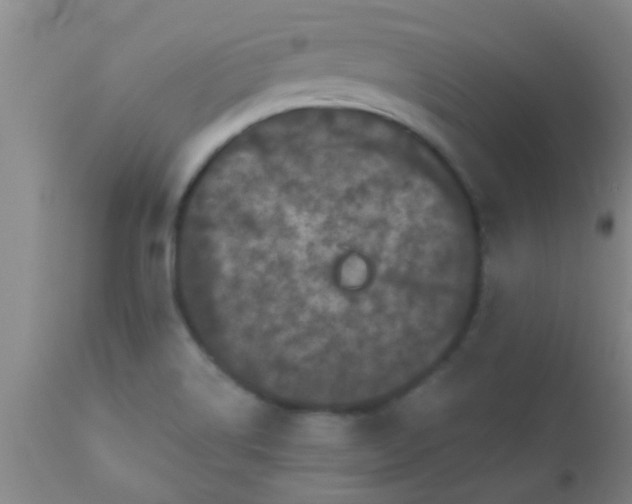 X0000110941514200907022122