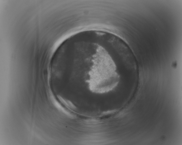 X0000110941515200907022122