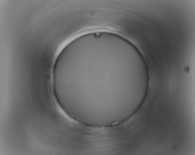 X0000110941516200907022122