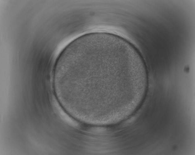 X0000110941517200907022122