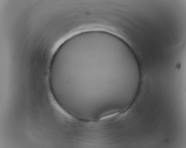 X0000110941518200907022122