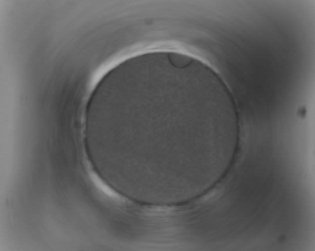 X0000110941519200907022122