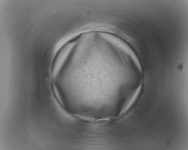 X0000110941520200907022122