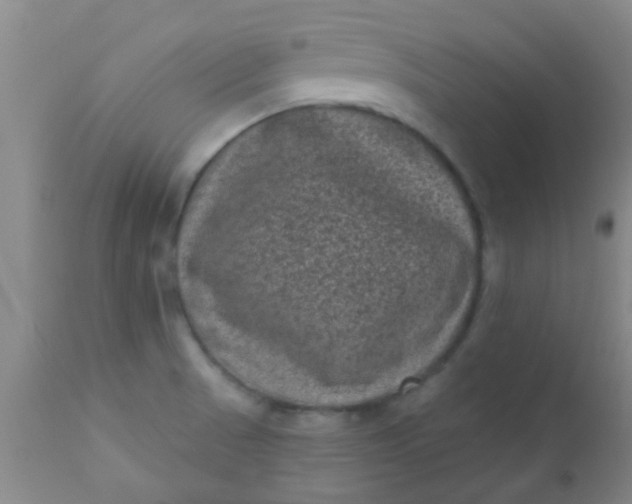 X0000110941521200907022122