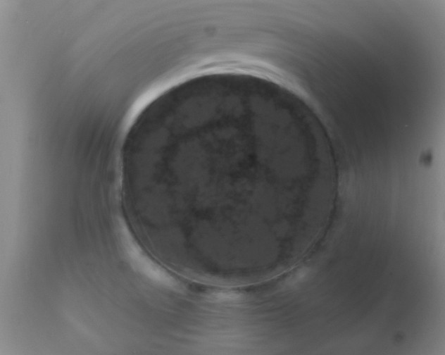 X0000110941522200907022122