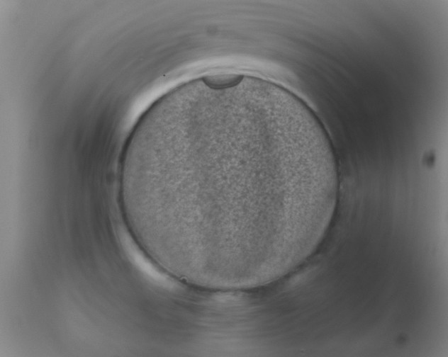 X0000110941523200907022122