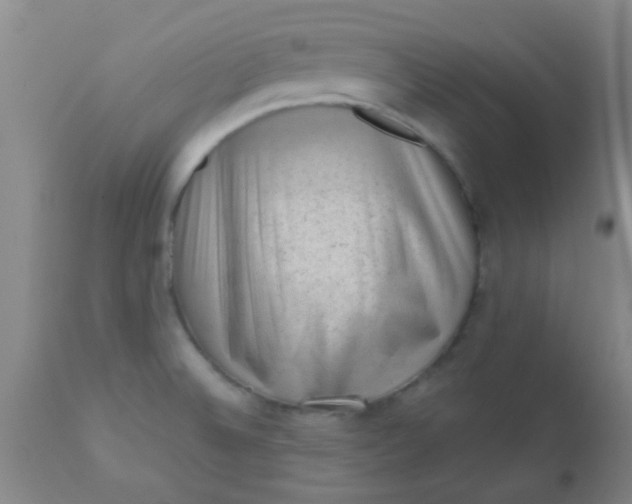 X0000110941524200907022122