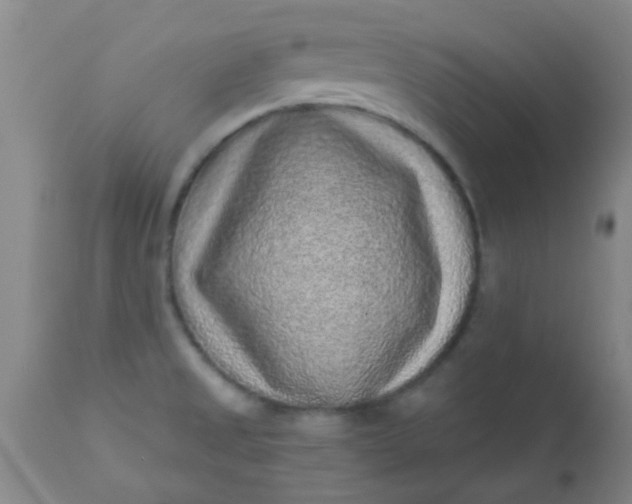 X0000110941525200907022122