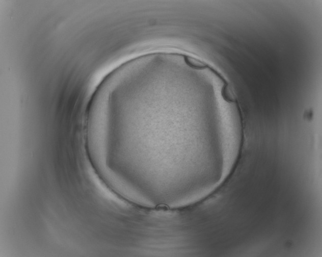 X0000110941526200907022122