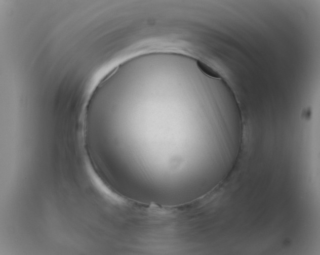 X0000110941528200907022122