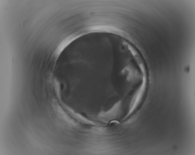 X0000110941529200907022122