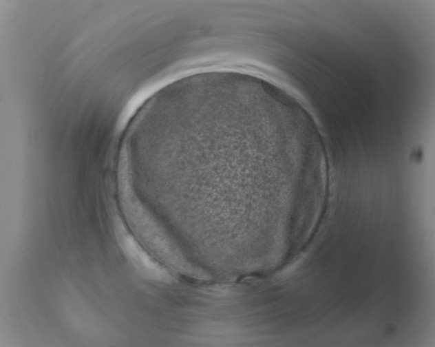 X0000110941530200907022122