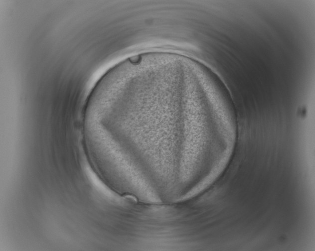 X0000110941531200907022122