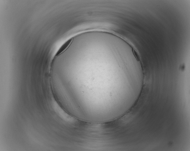 X0000110941532200907022122