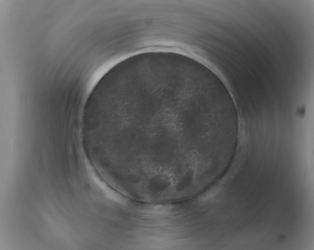 X0000110941533200907022122