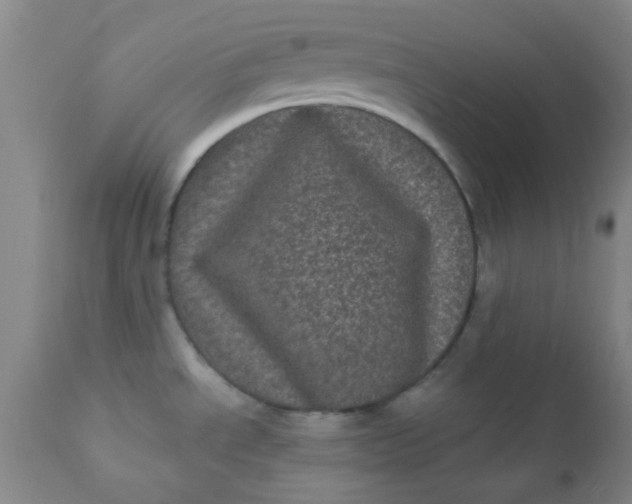 X0000110941534200907022122