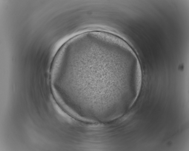 X0000110941535200907022122