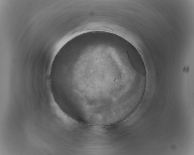 X0000110941536200907022122