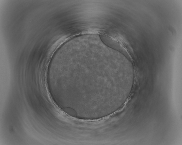 X0000110940001200907101256