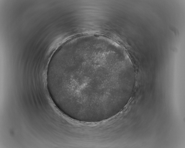 X0000110940002200907101256