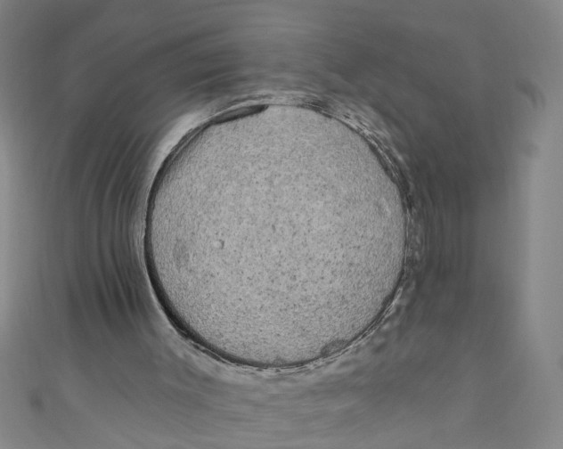 X0000110940003200907101256