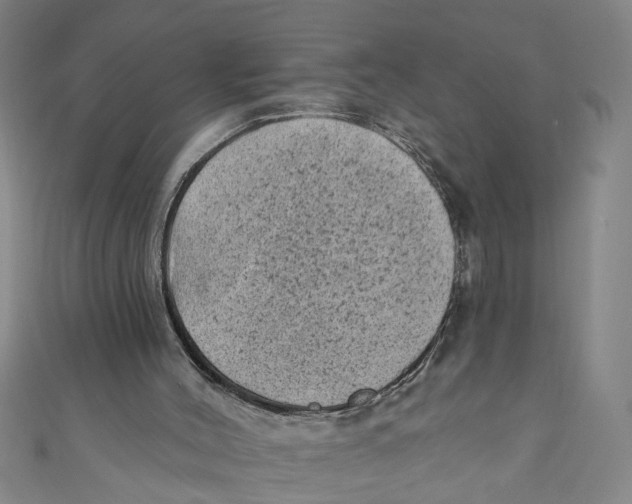 X0000110940004200907101256