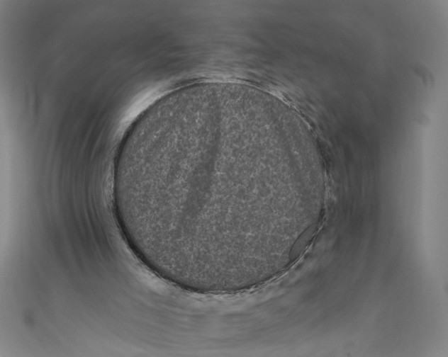 X0000110940005200907101256