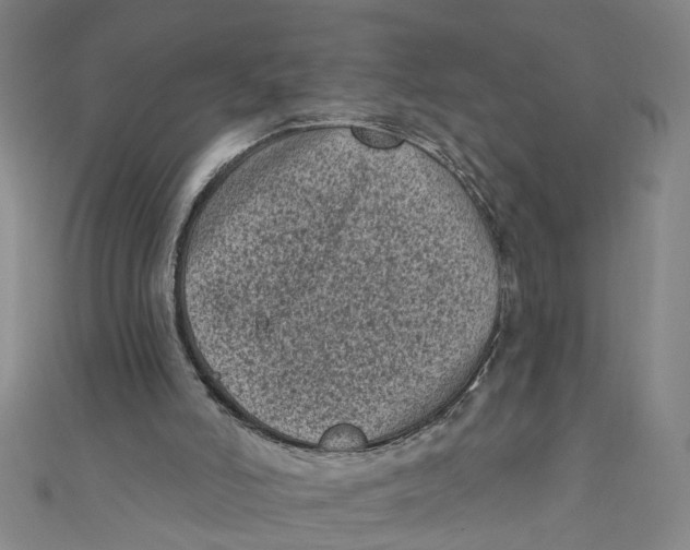 X0000110940006200907101256