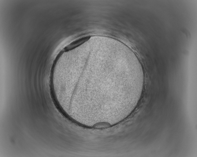 X0000110940007200907101256