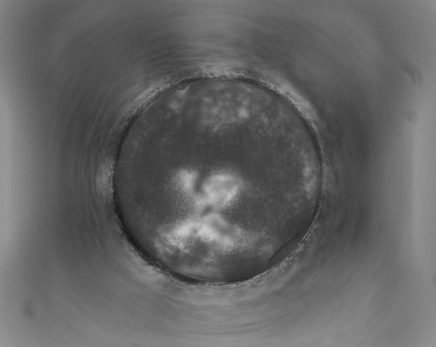 X0000110940009200907101256