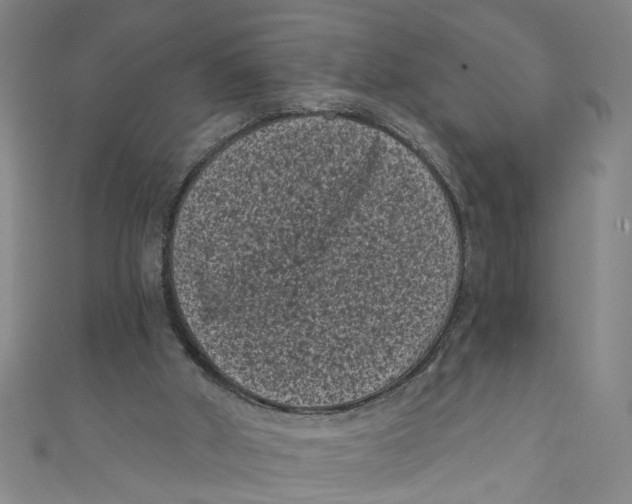 X0000110940010200907101256