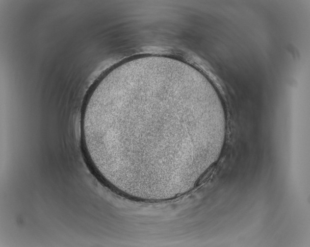 X0000110940011200907101256