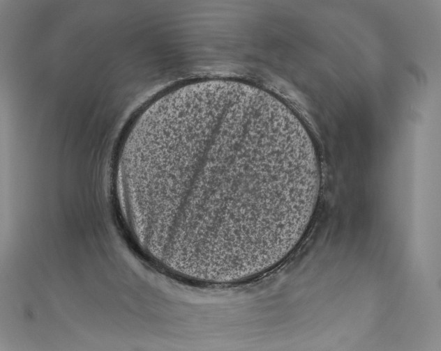 X0000110940012200907101256