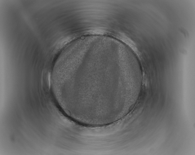 X0000110940013200907101256