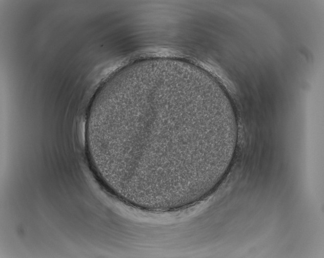 X0000110940014200907101256