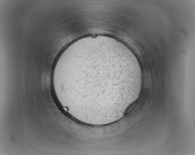 X0000110940015200907101256