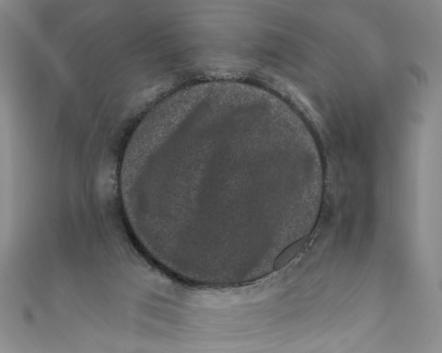 X0000110940017200907101256