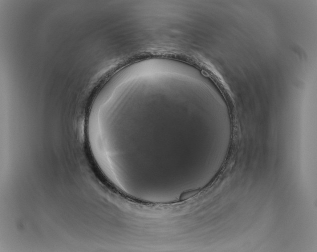 X0000110940019200907101256