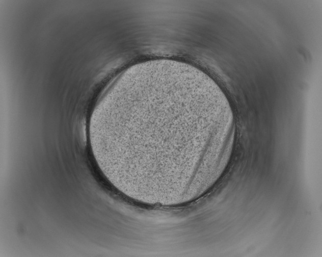 X0000110940020200907101256