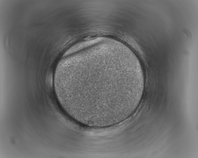 X0000110940021200907101256