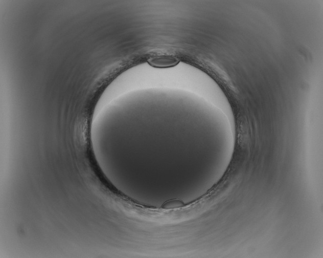 X0000110940023200907101256