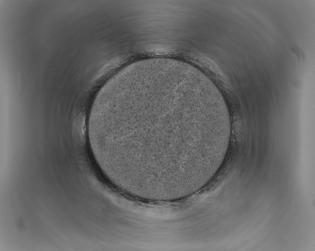 X0000110940024200907101256